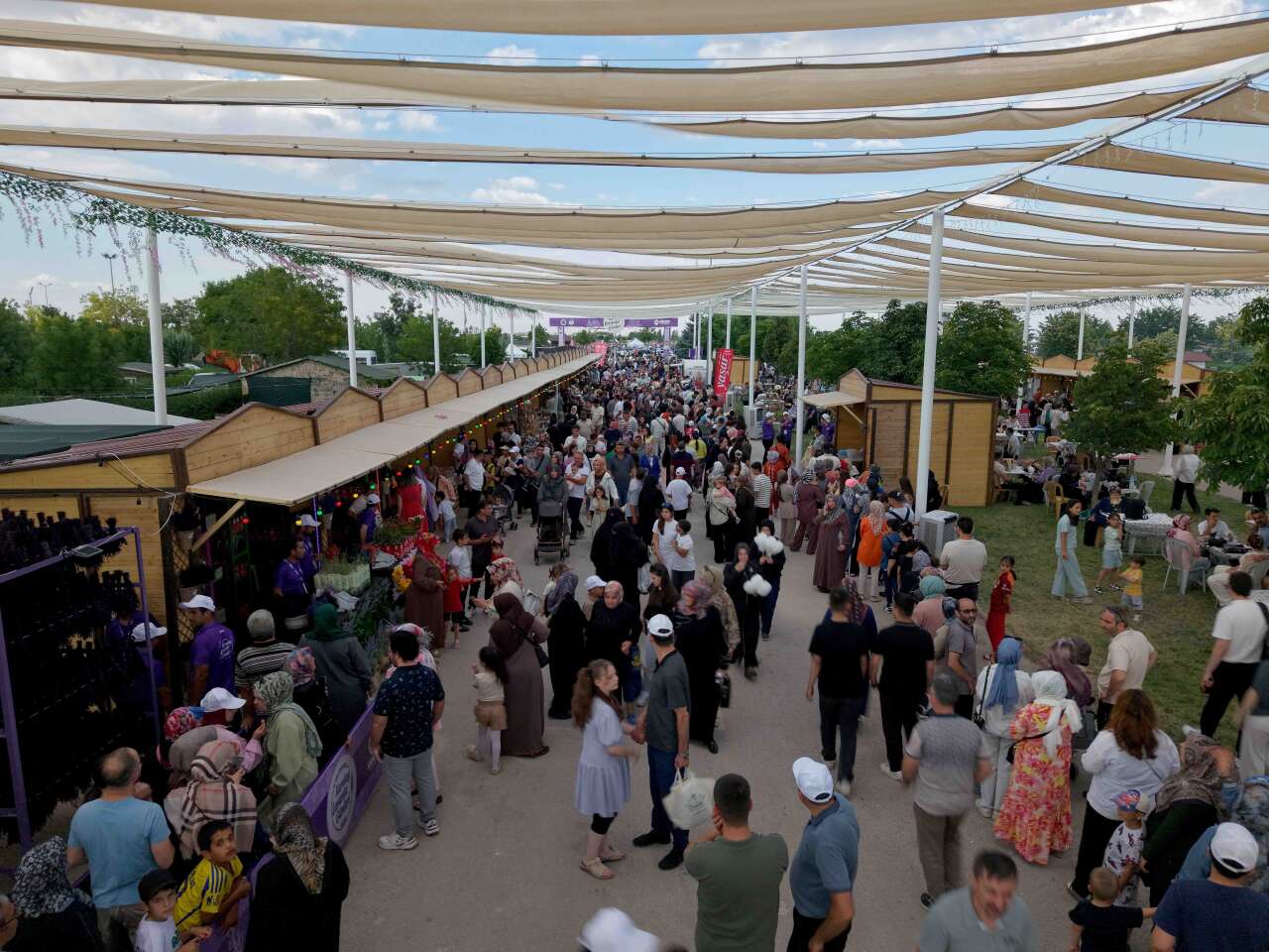Konya’da lavanta festivali başladı! Binlerce kişi mor tarlalara akın etti 3